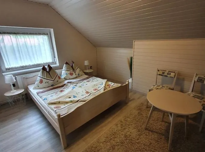 Ilike 巴拉顿菲赖德